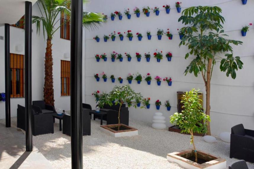 Casa Patio Las Palmeras Cordoba Con Piscina Exterior photo